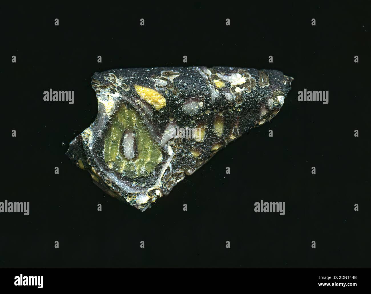 Fragment d'un vaisseau, verre, technique millefiori, Total: Hauteur: 1,50 cm; largeur: 2,60 cm; profondeur: 0,20 cm; profondeur: 0,30 cm, conteneur, stockage, cuisine, ornements de fleurs, période impériale précoce, UNE légère courbure du fragment de verre permet l'affectation à un vaisseau. La base du verre est vert olive foncé. Des fleurs dans la technique de millefiori peuvent être vues sur elle. Autour d'un point blanc, une bande verte est disposée sous forme de pétales. Sur le bord de la cassure se trouvent des points jaunes, disposés en cercle et représentant également des pétales. Banque D'Images