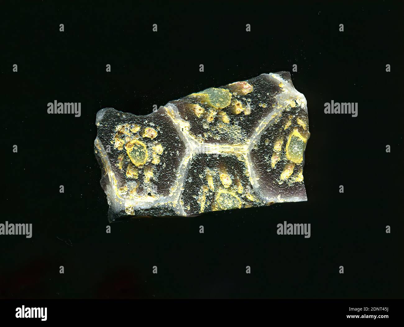 Fragment d'un vaisseau, verre, technique millefiori, Total: Hauteur: 1.20 cm; largeur: 1.90 cm; profondeur: 0.20 cm, conteneur, stockage, travail de cuisine, ornements floraux, période impériale précoce, UNE légère courbure du fragment de verre permet l'attribution à un vaisseau. Le verre rouge foncé est parsemé d'une grille blanche rappelant le nid d'abeille. Les champs montrent chacun une fleur dans la technique de millefiori. Autour d'un point vert avec une bordure jaune se trouvent des points jaunes plus petits comme des pétales. Pour la production, des verres de différentes couleurs ont été formés en tubes et en tiges. Banque D'Images