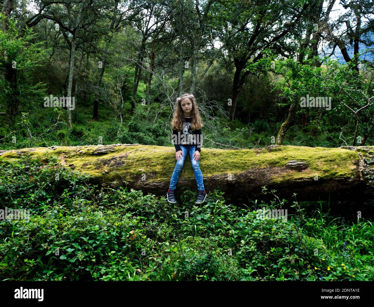 Portrait d'une belle fille assise sur un arbre tombé dans la forêt, Italie Banque D'Images