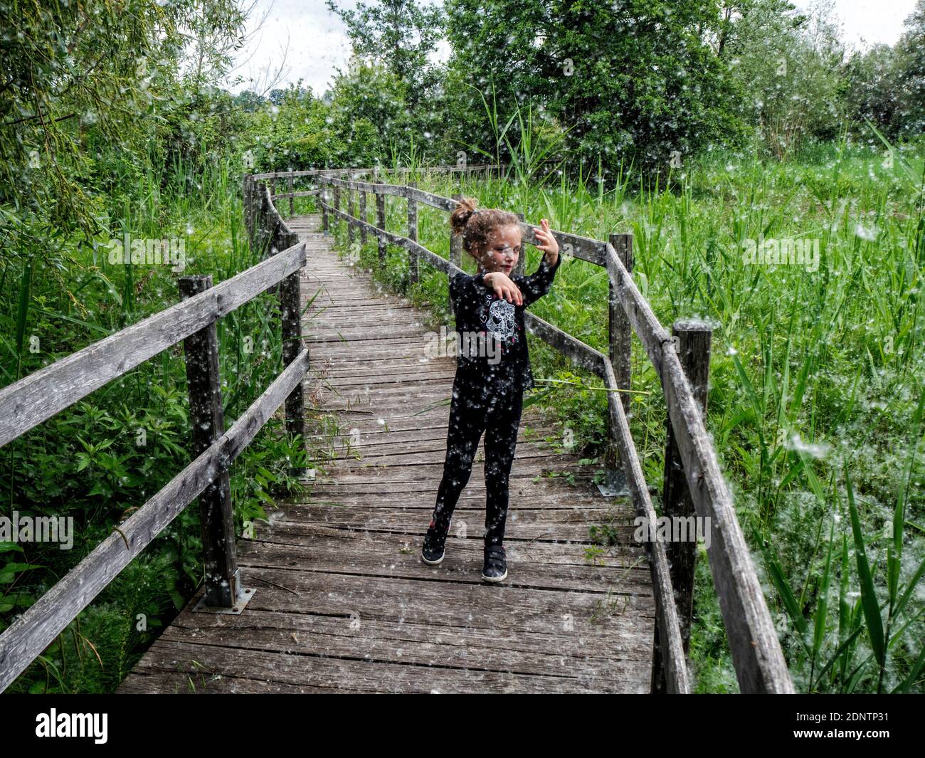 Fille debout sur un pont entouré de graines de pissenlit flottant à mi-air, Italie Banque D'Images