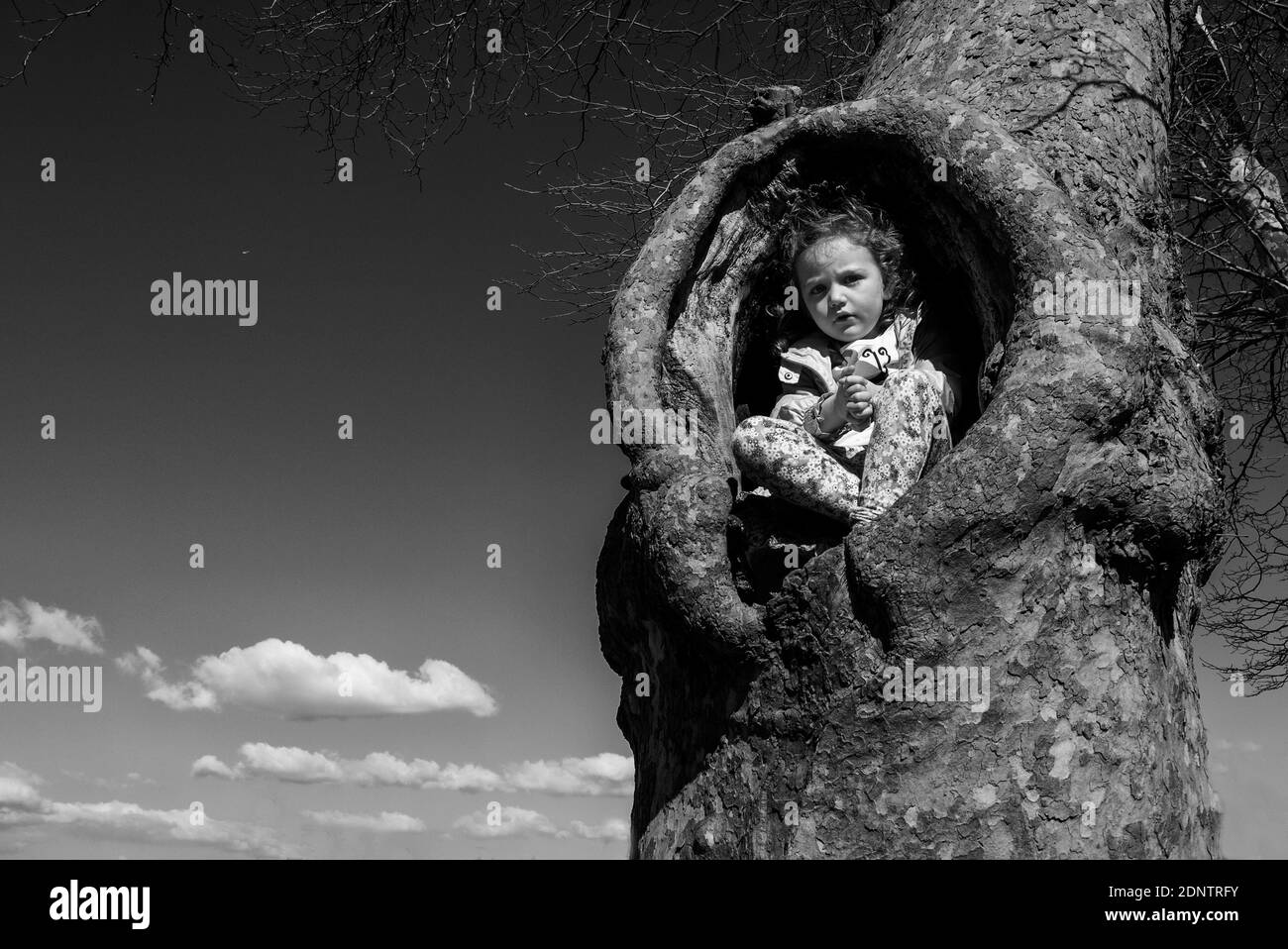 Fille assise dans le creux d'un arbre, Italie Banque D'Images