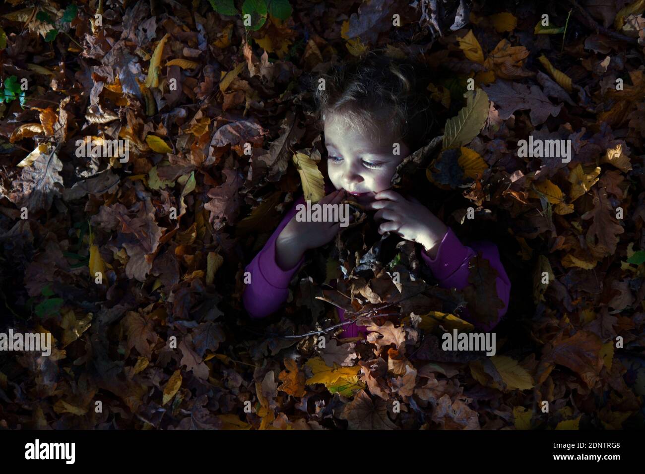 Fille souriante couchée dans une pile de feuilles d'automne, Pologne Banque D'Images