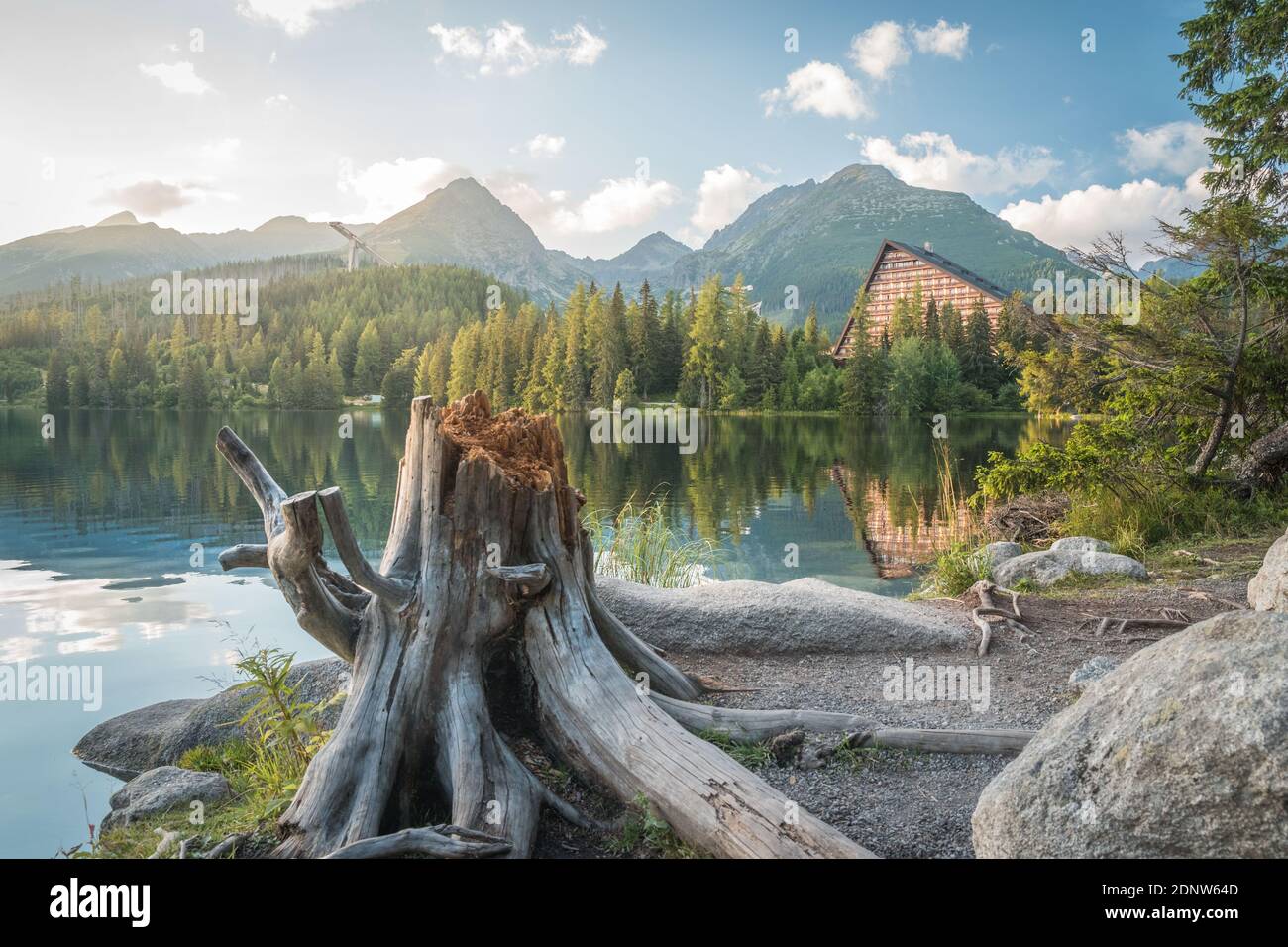 Lac de montagne Strbske Pleso avec une grande souche en premier plan dans le parc national de High Tatras. Slovaquie, Europe. Soirée en fin d'été au bord du lac. Banque D'Images