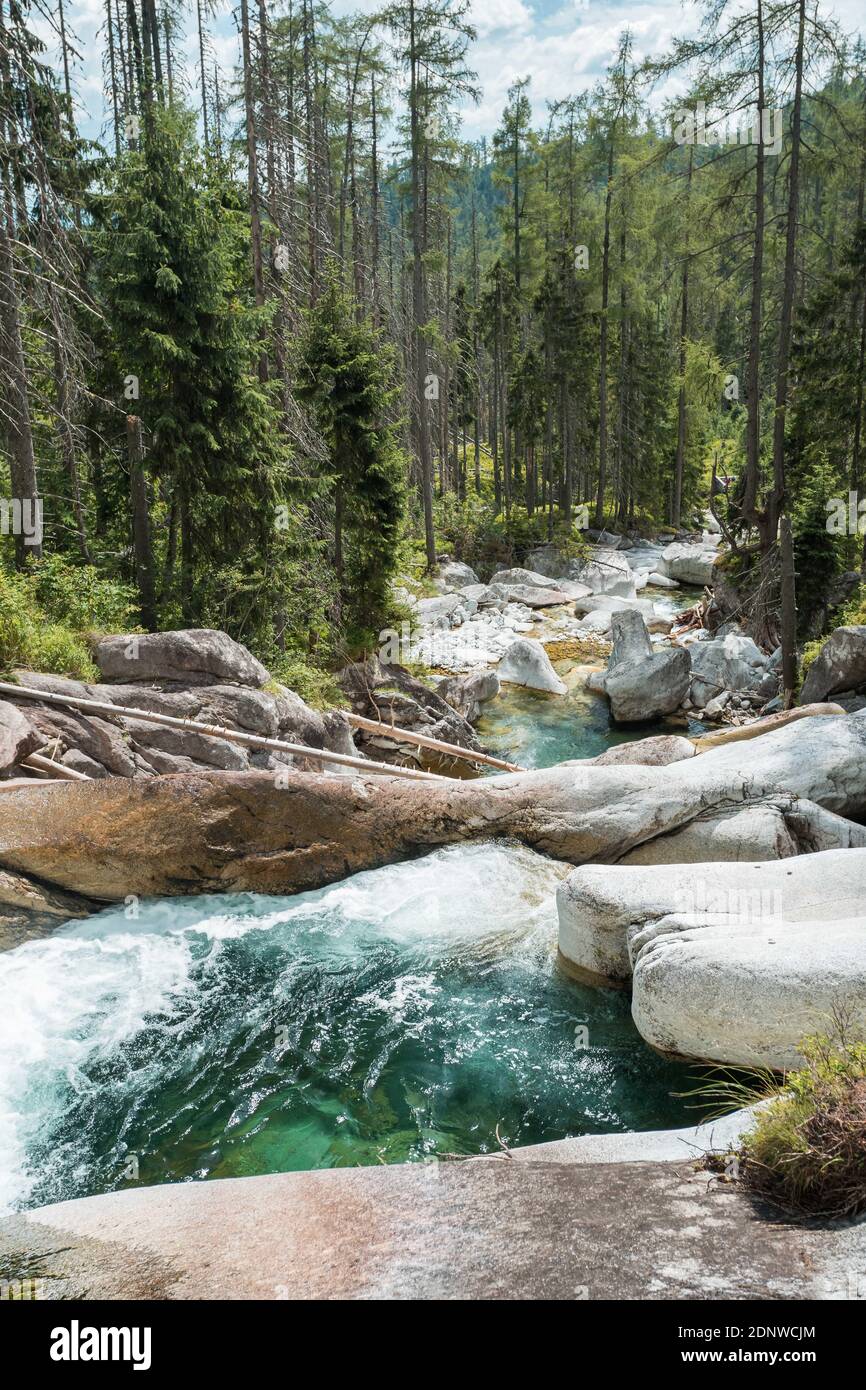 Cascades de Cold Stream dans la Grande Vallée froide à High Tatras, Slovaquie. Ciel nuageux. Banque D'Images