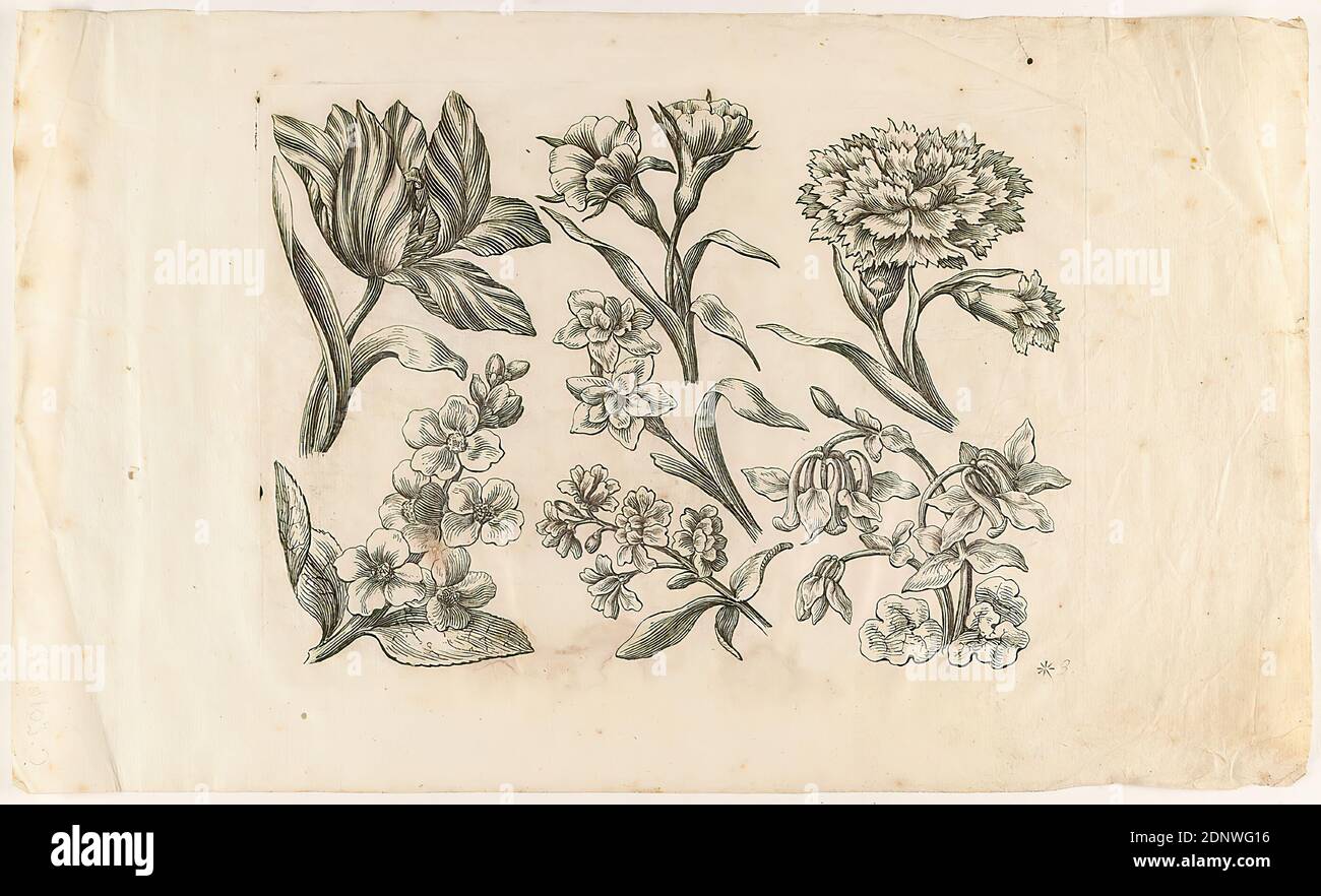 Georg Martin Preißler, Johann Christoph Schmidhammer, fleurs éparses, papier, gravure de copperplate, gravure de copperplate sur papier strié avec filigrane, taille de la feuille: Hauteur: 18,30 cm; largeur: 30,50 cm, numérotée dans la plaque: 3, imprimés, fleurs, botanique, carnation Banque D'Images