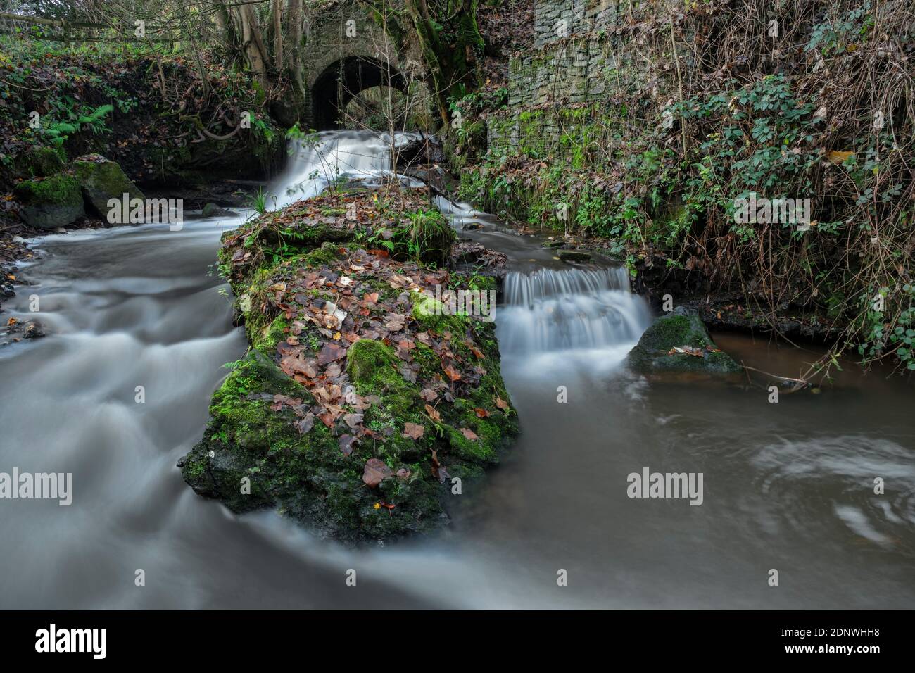Ruisseau traversant un pont voûté dans la vallée inférieure de Wye. Banque D'Images