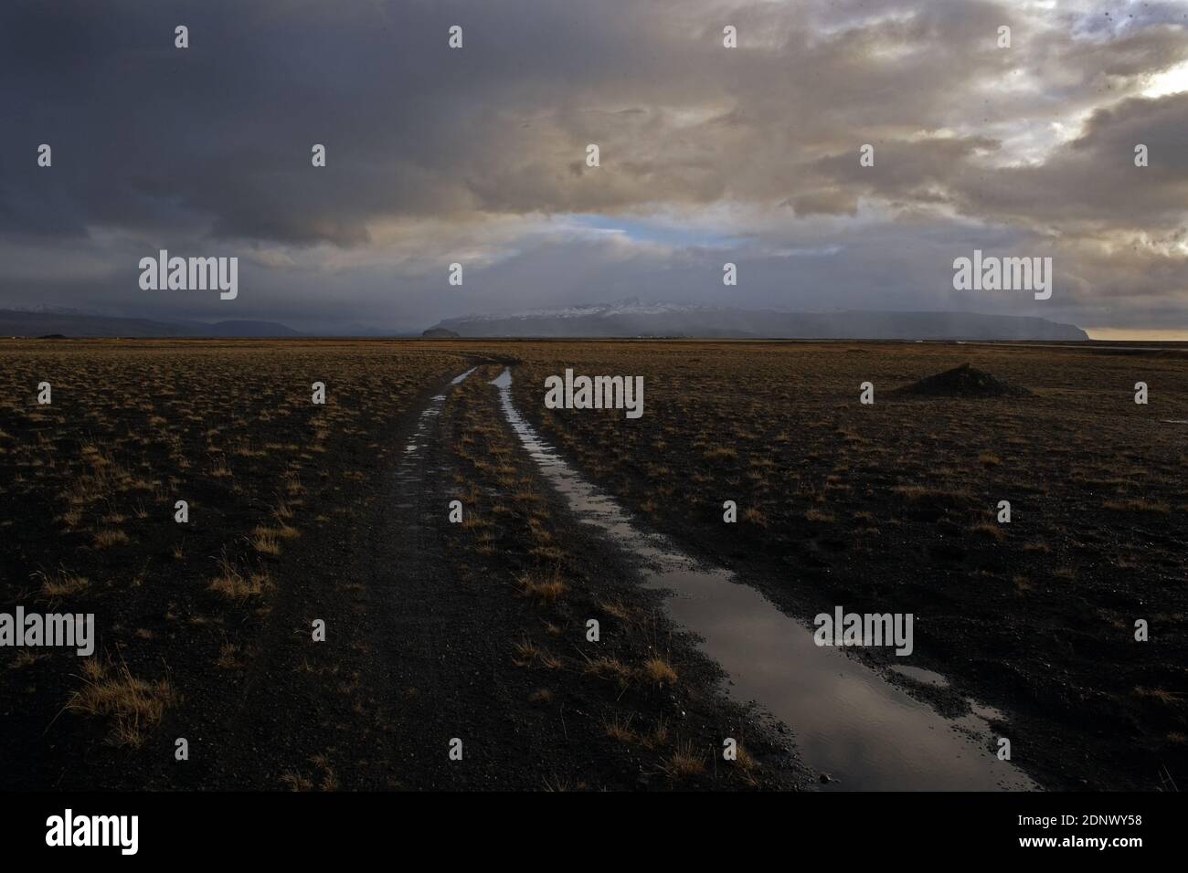 Volcans/Islande/Eyjafjallajskirl/Paysage lunaire avec arc-en-ciel et herbe poussant à travers les cendres de l'éruption volcanique d'Eyjafjallajokull, Islande Banque D'Images