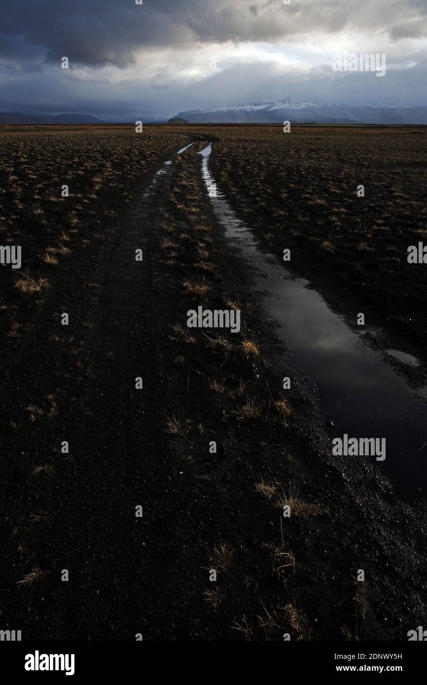 Volcans/Islande/Eyjafjallajskirl/Paysage lunaire avec arc-en-ciel et herbe poussant à travers les cendres de l'éruption volcanique d'Eyjafjallajokull, Islande Banque D'Images