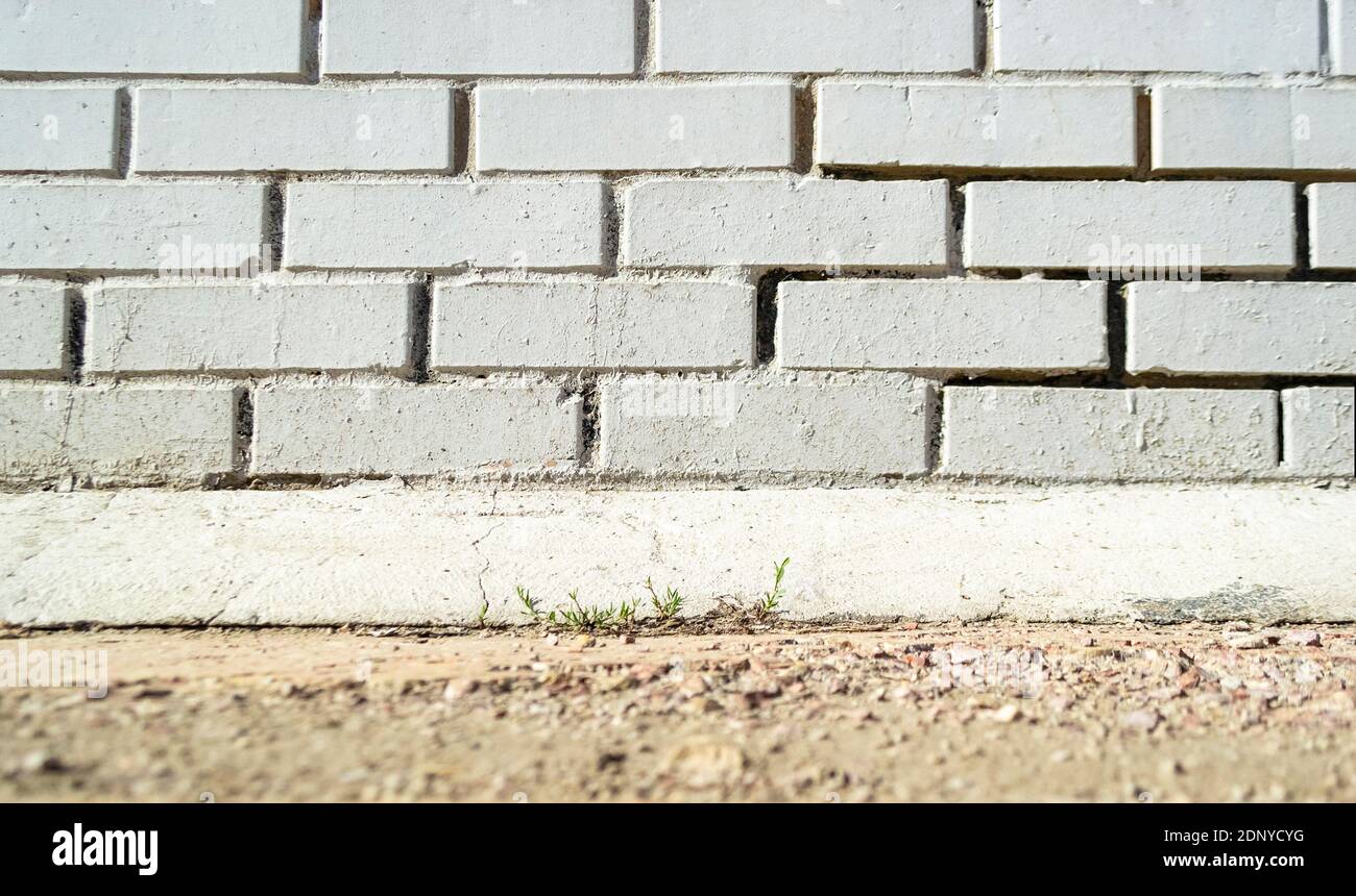 Mur de briques blanches et sol avec pelouse - extérieur Banque D'Images
