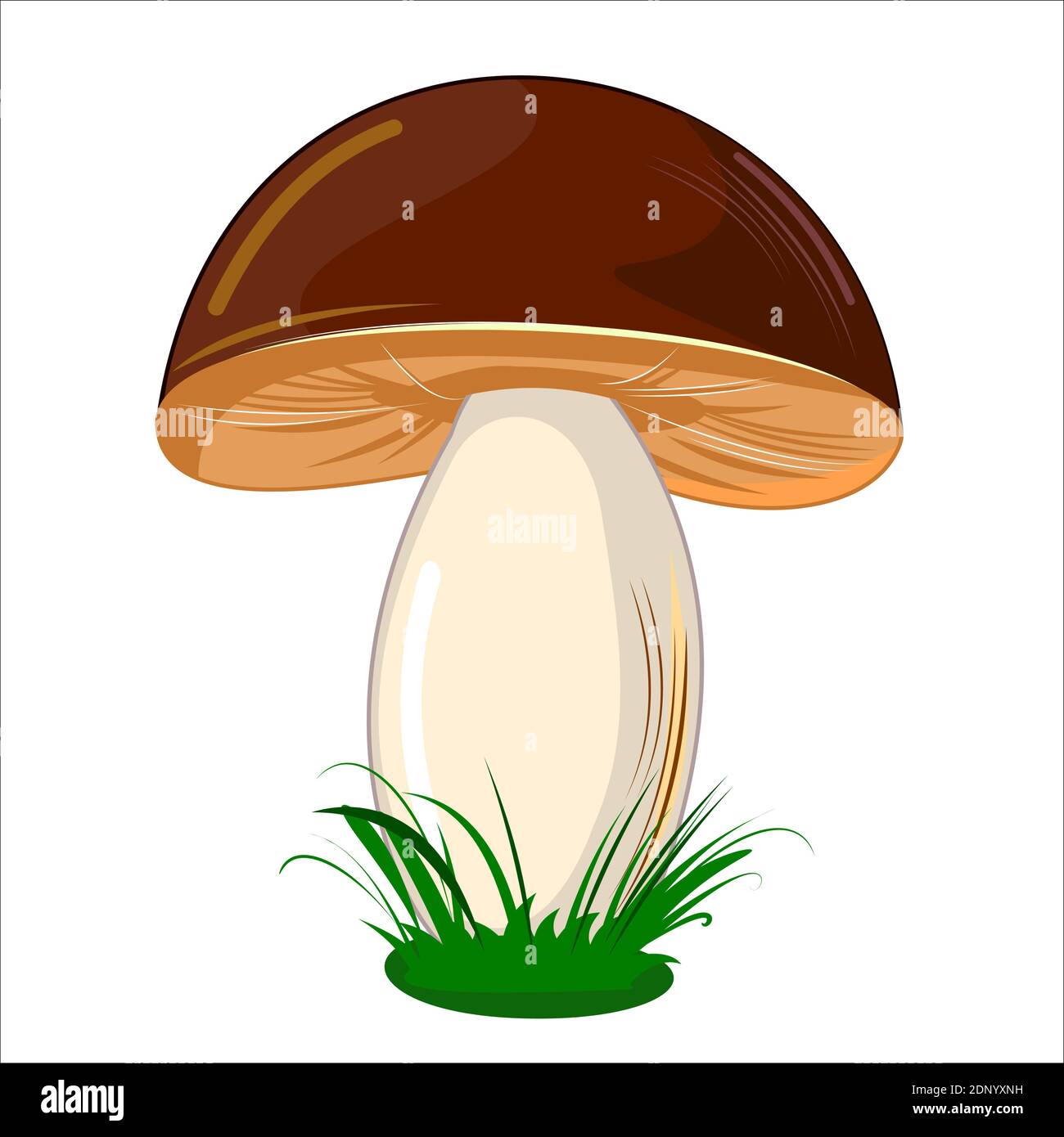 Champignon. Isolé sur fond blanc. Joli dessin animé. Belle illustration. Avec de l'herbe. Vecteur Illustration de Vecteur