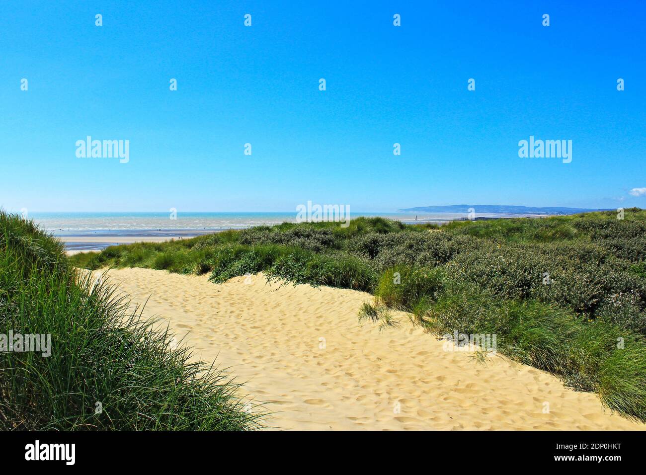 Dunes de plage de Camber Sands à une belle journée d'été vue des dunes au-dessus de Rye Bay, partie de la Manche.East Sussex, Royaume-Uni Banque D'Images