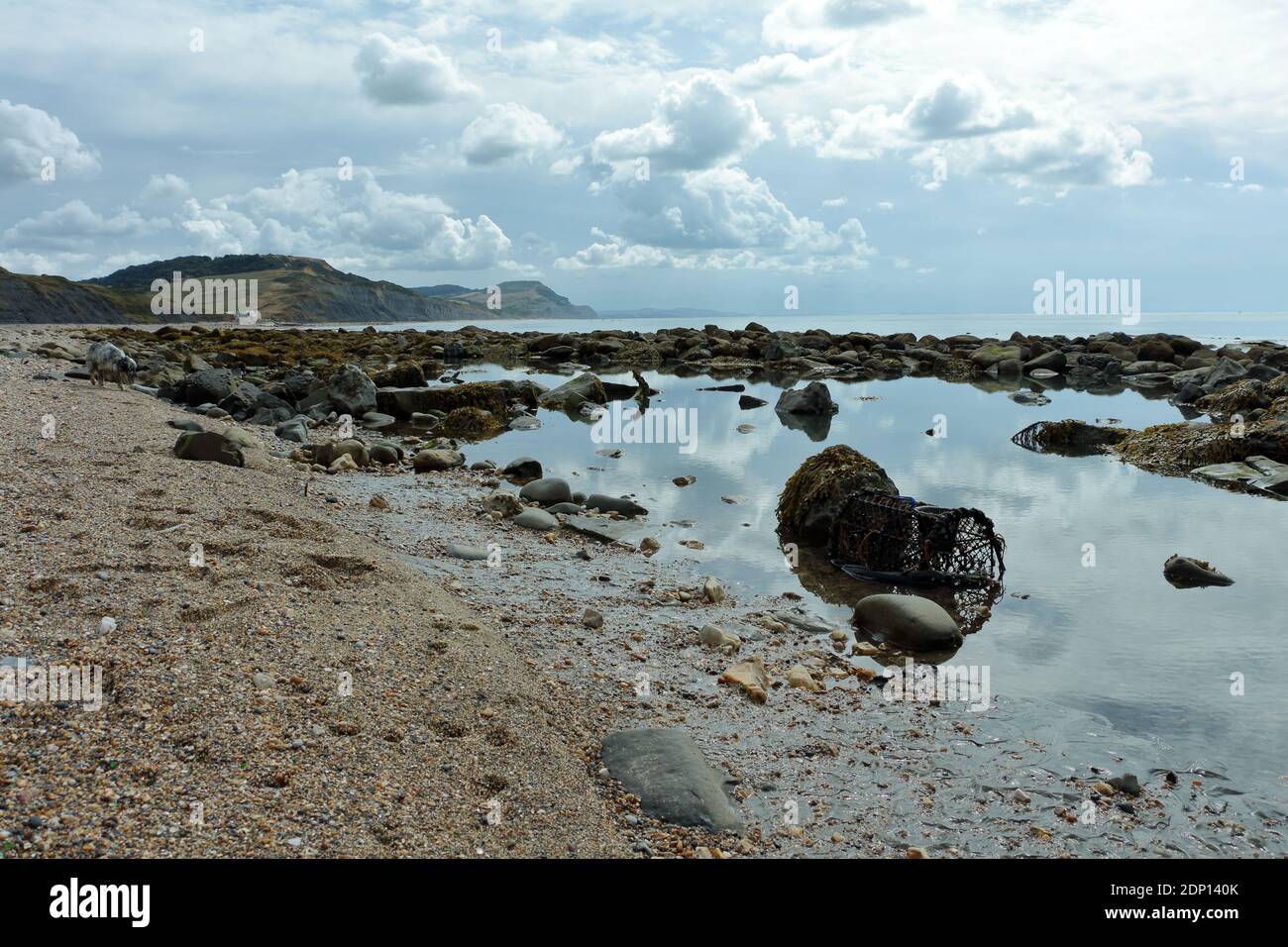 Plage de pierres, piscines rocheuses, Charmouth, marée basse. Pot de homard jeté dans la piscine d'eau. Littoral jurassique. Relaxant, tranquille. Le soleil éclairait les reflets des nuages. Banque D'Images