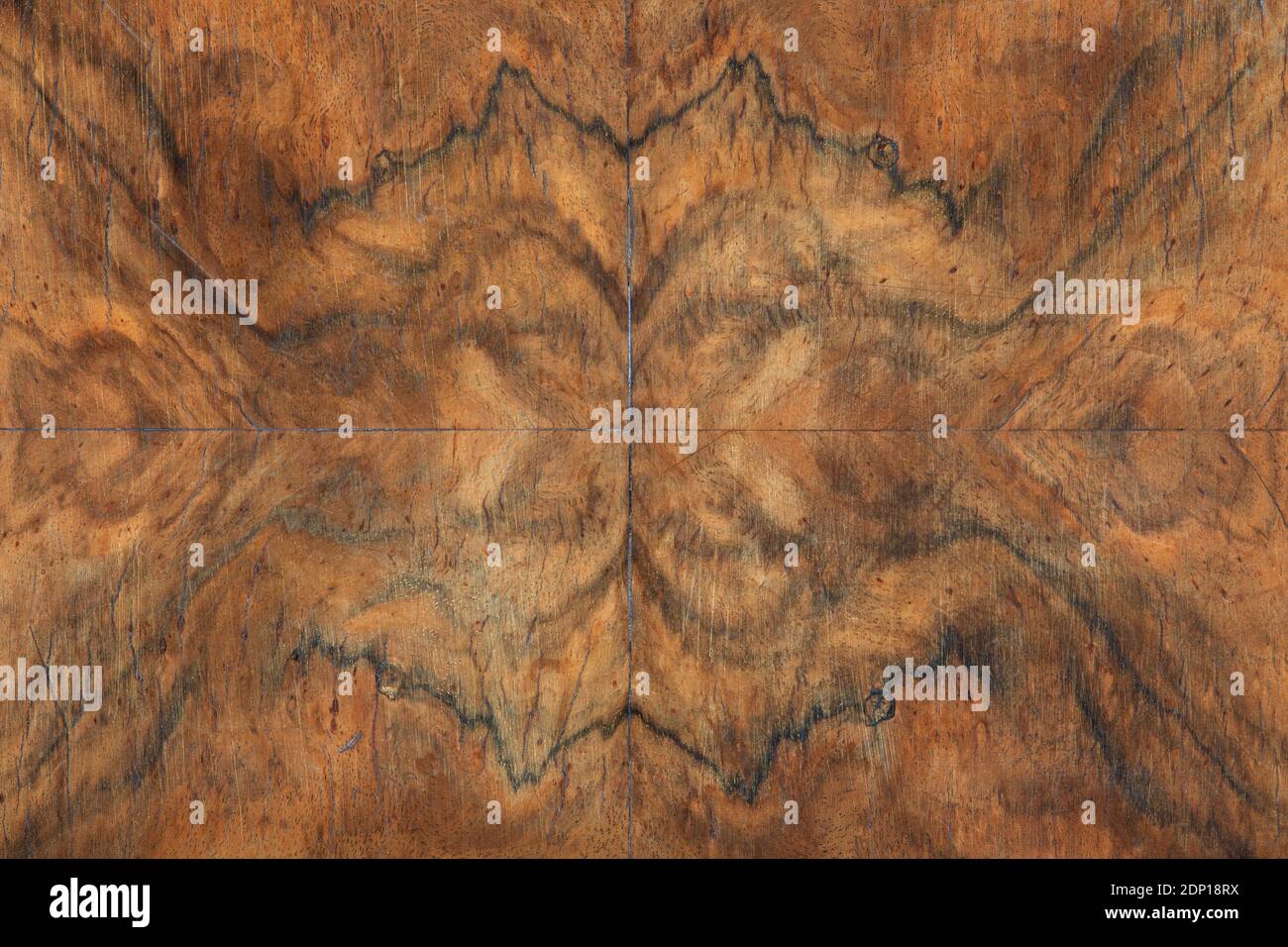 Arrière-plan de texture de détail de bois de Briar, symétrie Banque D'Images
