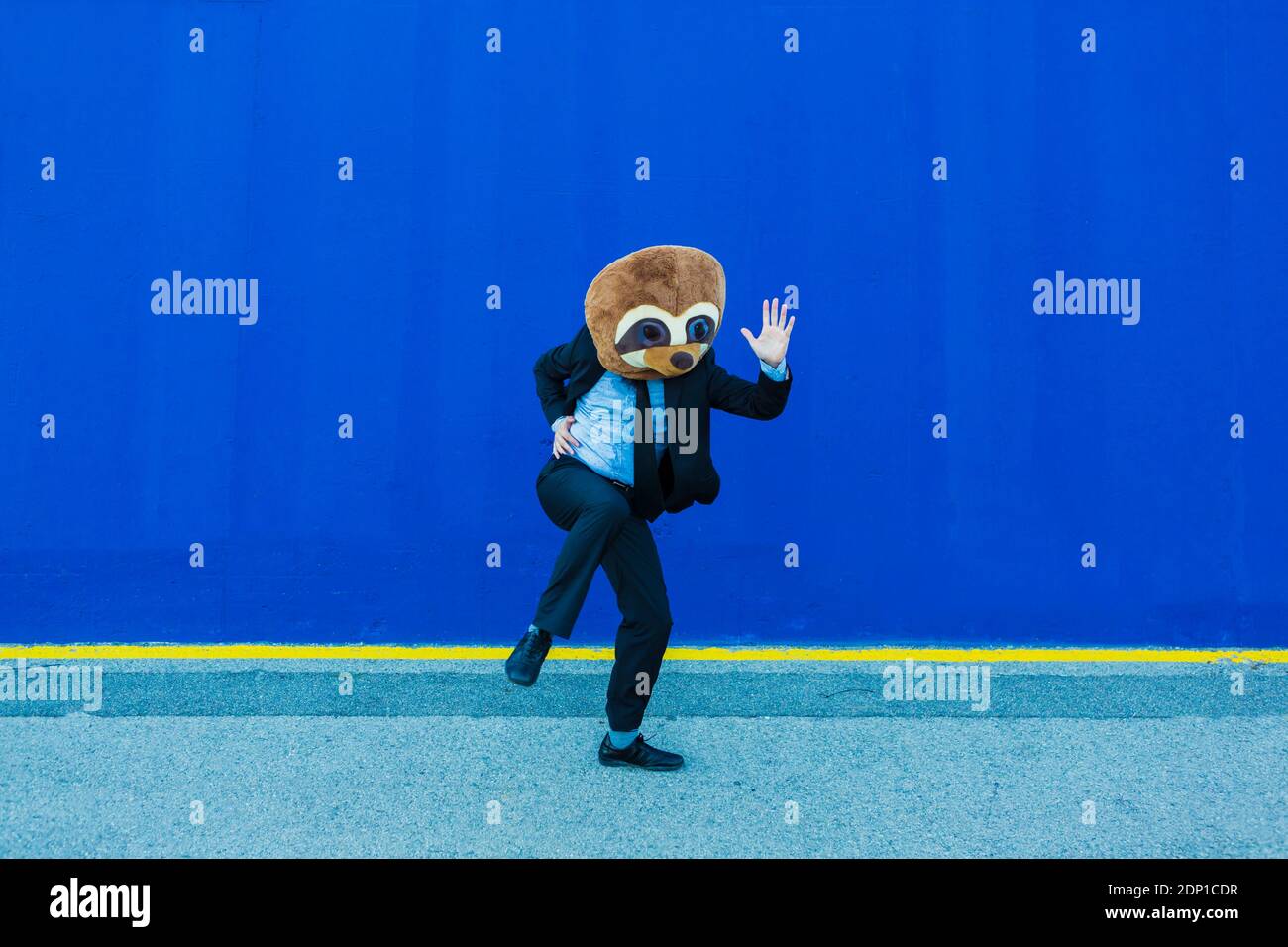 Homme d'affaires en costume noir avec masque de meerkat dansant devant du mur bleu Banque D'Images