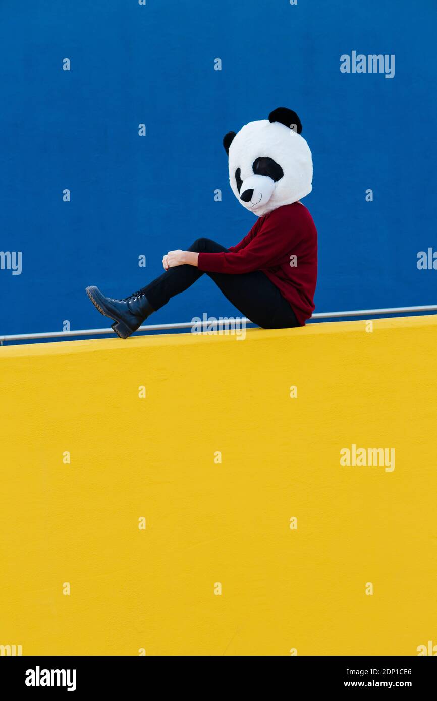 Femme portant un masque de panda tout en étant assise contre le mur bleu Banque D'Images
