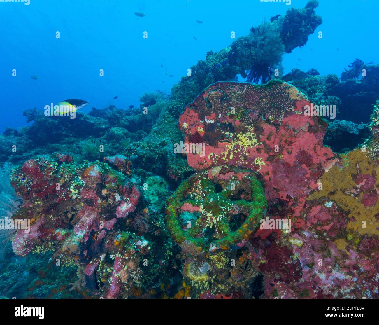 Wheel of the US Liberty Shipwreck couché sous l'eau à Tulamben, Bali (Indonésie) Banque D'Images