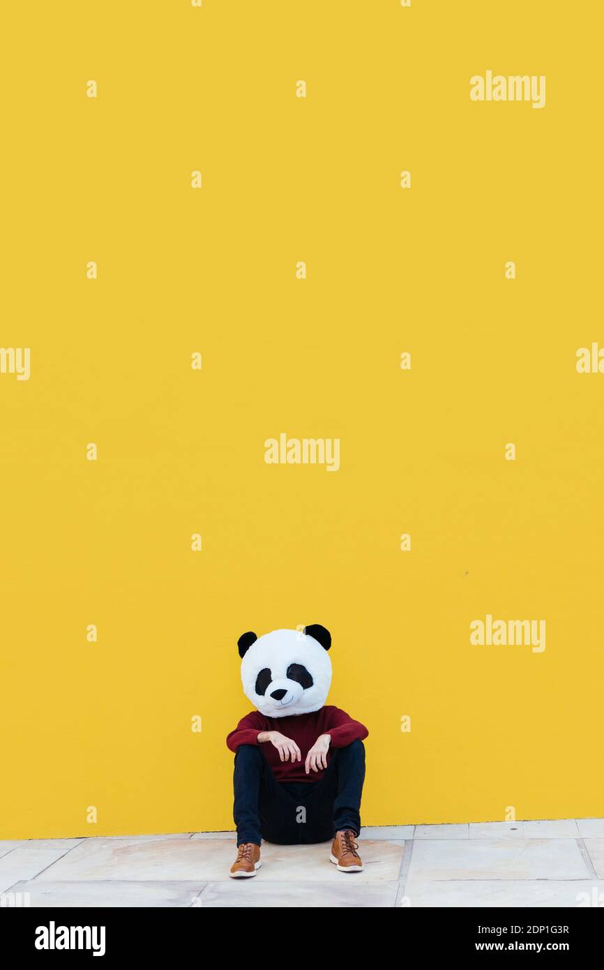 Homme dans le masque panda assis contre le mur jaune Banque D'Images