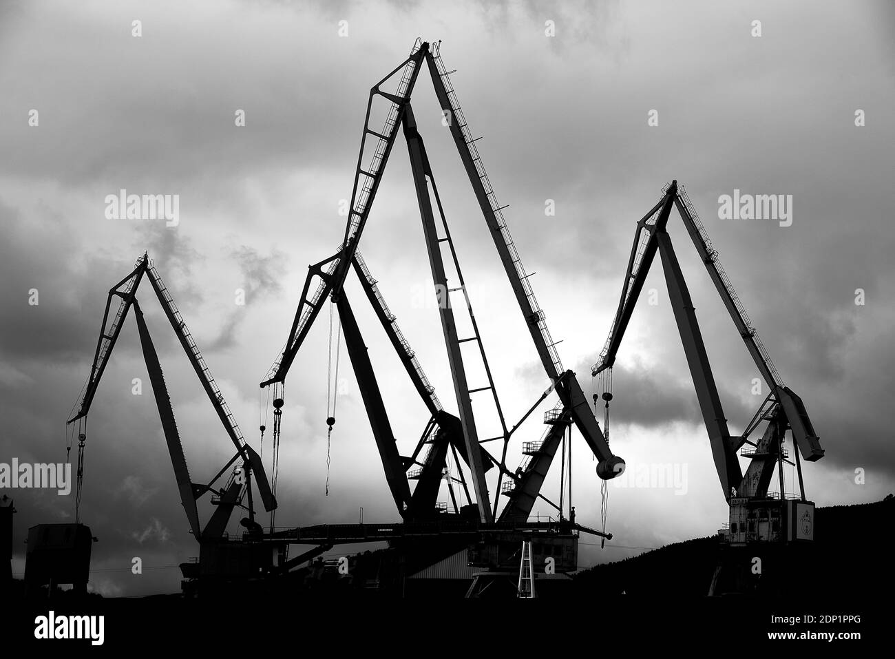 Silhouettes de Crane sur ciel nuageux Banque D'Images