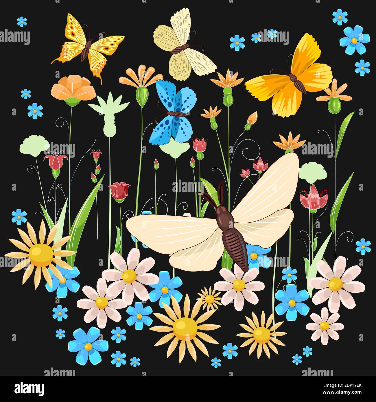 Papillons De Nuit Banque D Image Et Photos Alamy