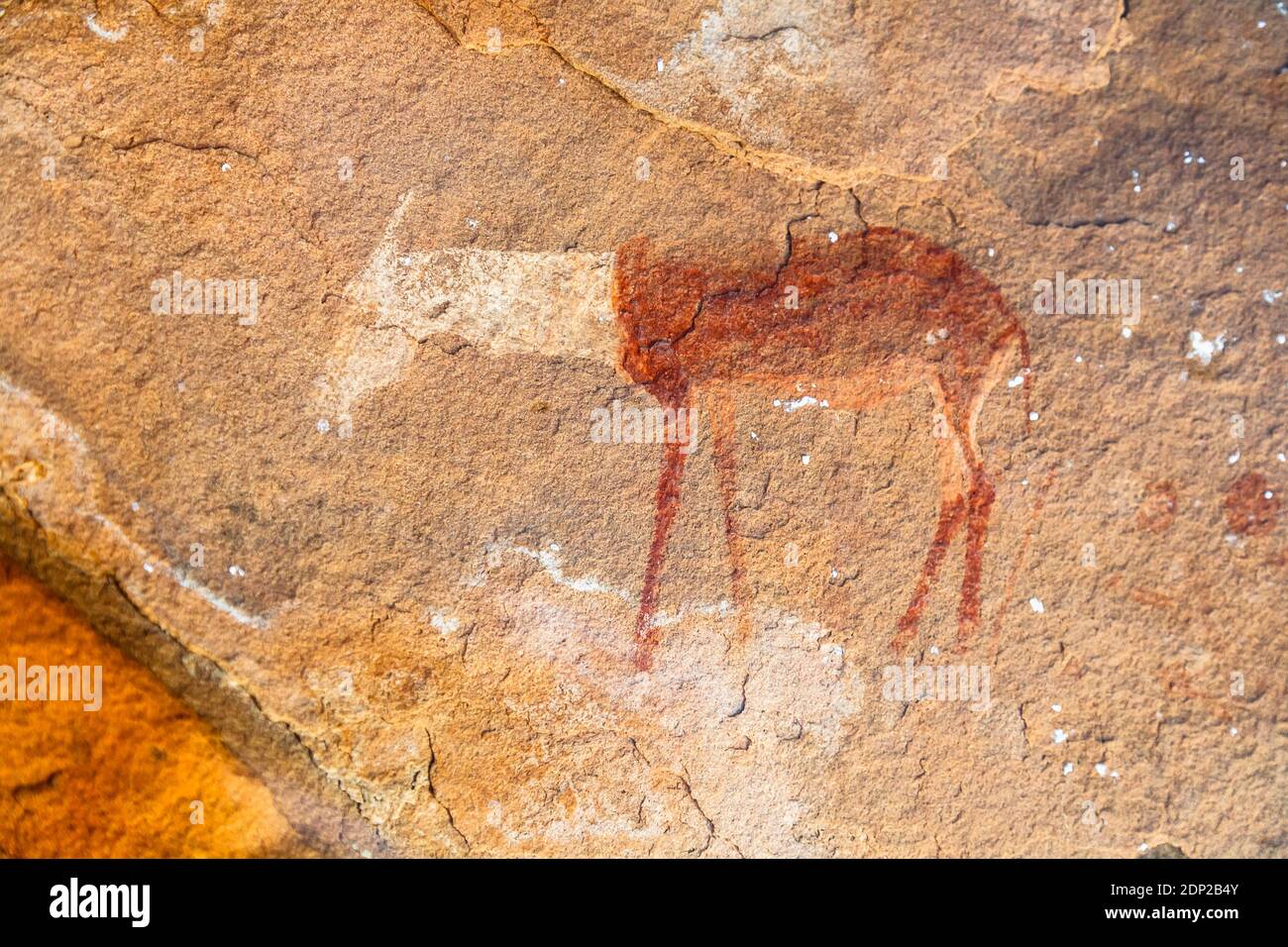 Ancienne peinture de roche de bushman d'une gazelle de dama probablement sur le plafond d'une grotte dans le désert de Namib, Skeleton Coast, Namibie, sud-ouest de l'Afrique Banque D'Images