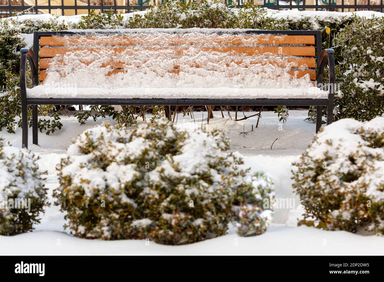 Des bancs en bois d'époque dans un parc et des arbustes autour sont couverts de glace et de neige après une lourde neige plus tôt. Il y a assez d'accumulation et de surr Banque D'Images