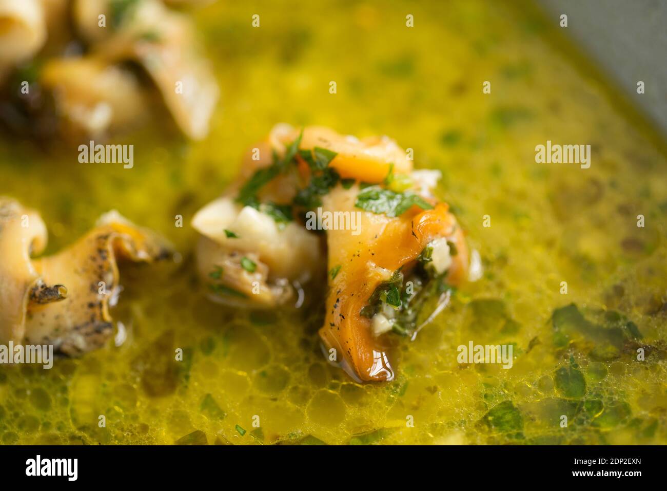 Les buccins cuits, Buccinum undatum, qui ont d'abord été bouillis avant d'être grillés avec une sauce à l'ail, au vin blanc, au persil, à l'échalote et au beurre, et re Banque D'Images