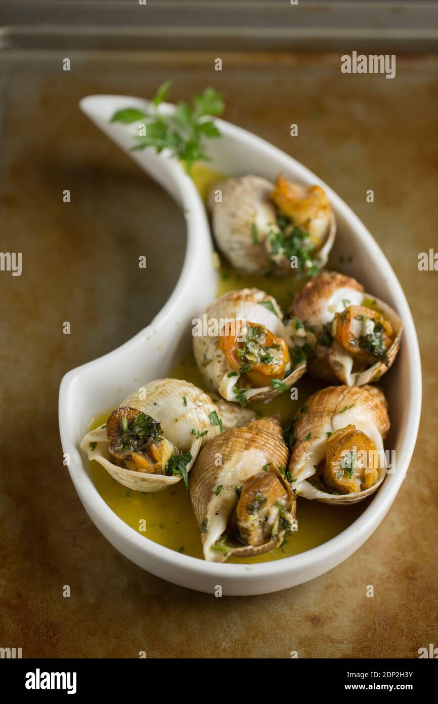 Les buccins cuits, Buccinum undatum, qui ont d'abord été bouillis avant d'être grillés avec une sauce à l'ail, au persil, au vin blanc, à l'échalote et au beurre. Garnis Banque D'Images