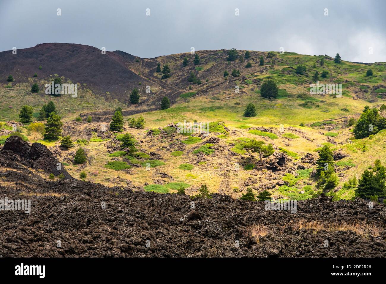Paysage volcanique du mont Etna et sa végétation estivale typique Banque D'Images