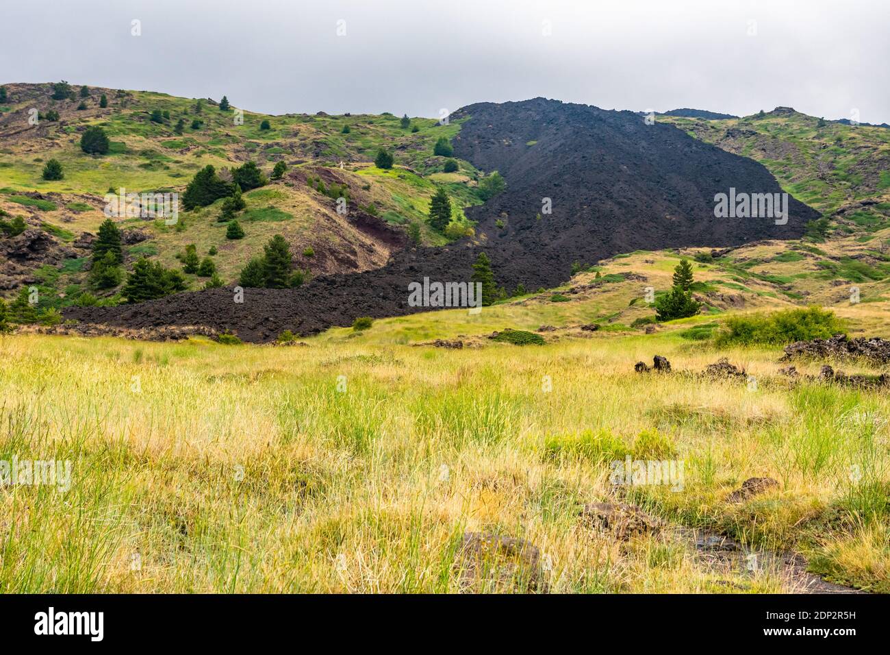 Paysage volcanique du mont Etna et sa végétation estivale typique Banque D'Images
