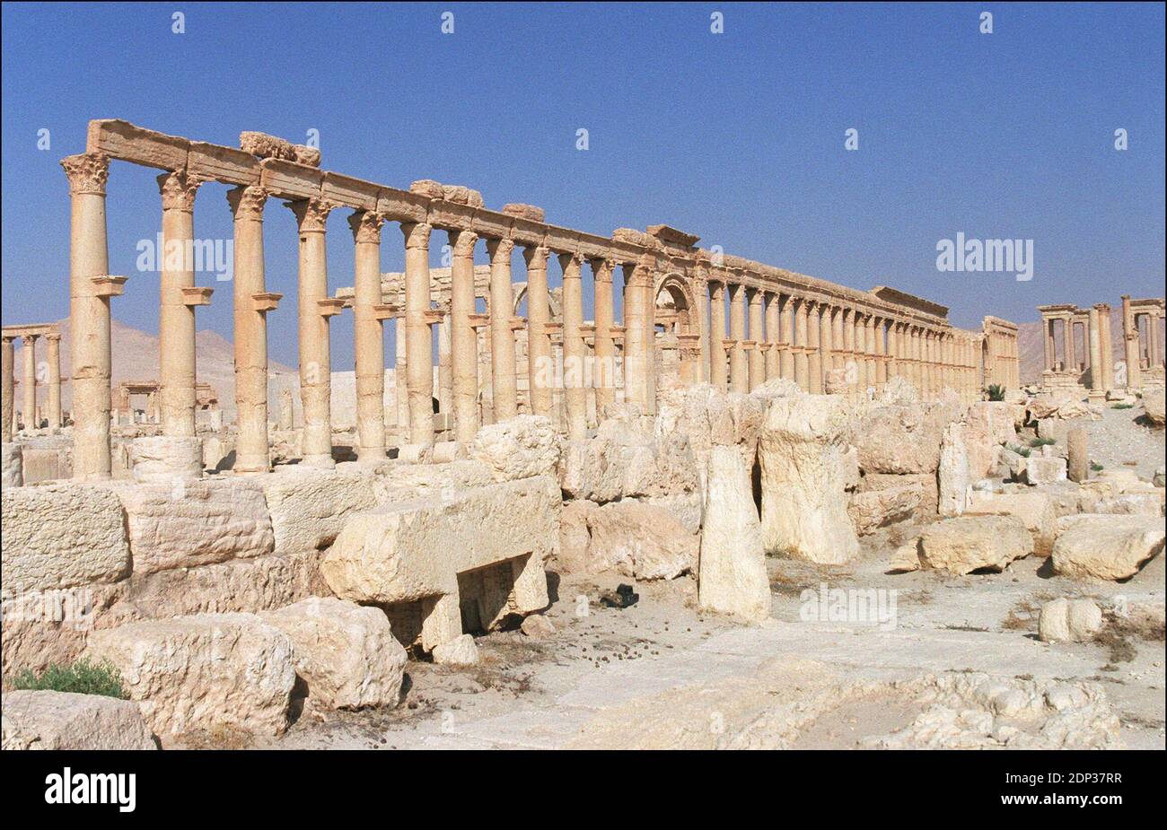 Les militants de l'État islamique (EI) en Syrie sont entrés sur le site de Palmyra, classé au patrimoine mondial de l'UNESCO, après avoir pris la ville à côté des ruines antiques. IL a déjà démoli des sites anciens en Irak qui étaient antérieurs à l'islam. Photo du fichier : © Eric travers/ABACA. 28121-4. Syrie, 08/08/2001. Grande colonnade des ruines de la ville de Palmyre. Les rues sont tracées au cordeau, l'ane vat d'une grande arche un tétrapyle compose de quatre socles support chacun quatre colonnes. Banque D'Images