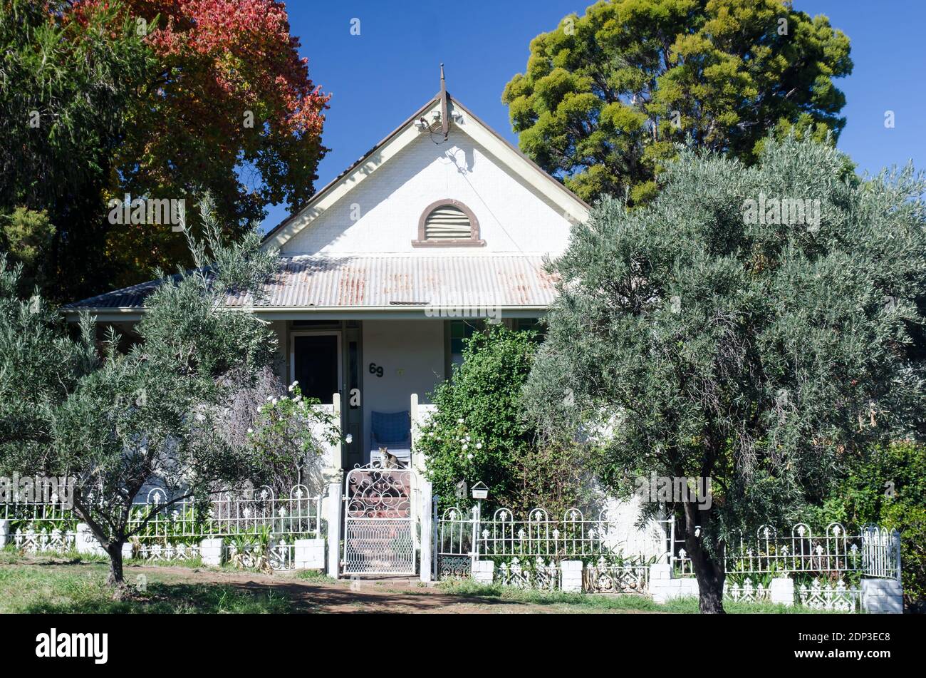 Australian 1920 Cottage avec arbres, arbustes,et d'une clôture de fer avec un chat assis sur le porche. Banque D'Images
