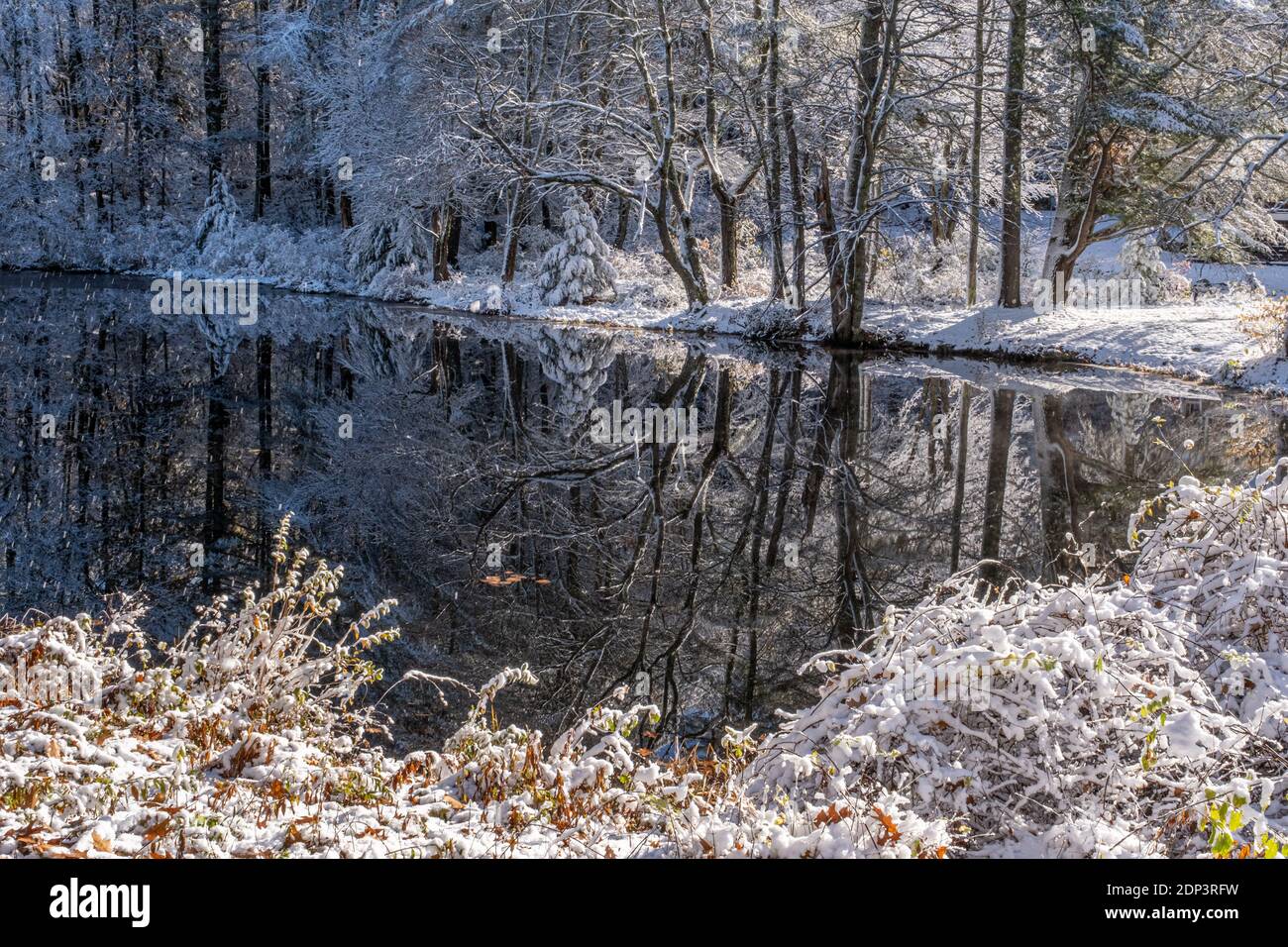 La branche est de la rivière Swift à Petersham après une tempête de neige Banque D'Images