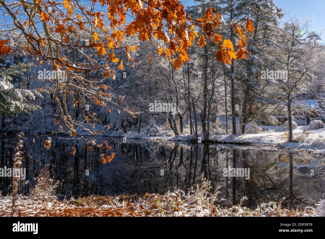 La branche est de la rivière Swift à Petersham après une tempête de neige Banque D'Images