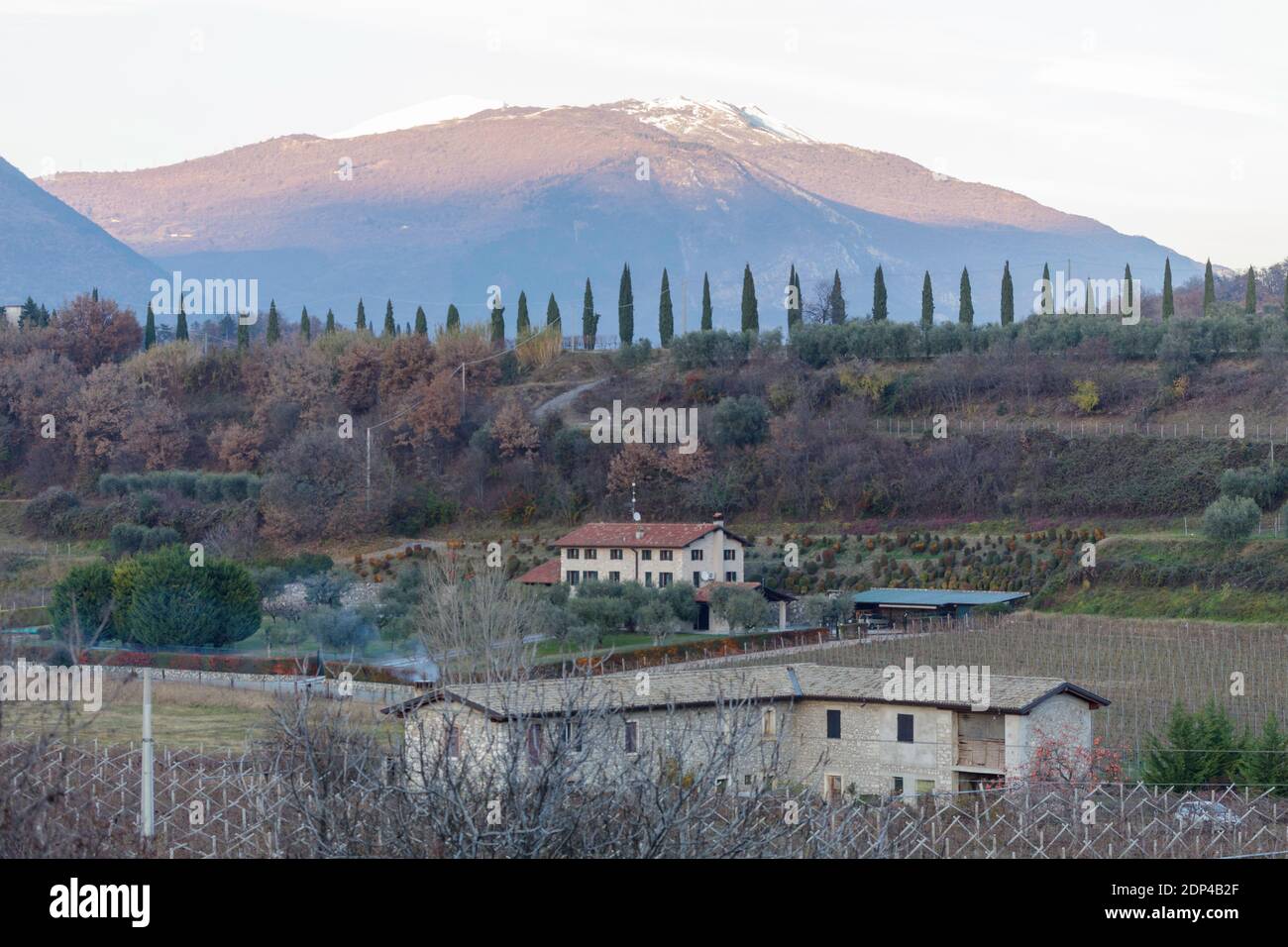 Vue splendide sur le Monte Baldo couvert de neige et le chemin avec cyprès de la Velleselle sur les collines de Bardolino. Banque D'Images