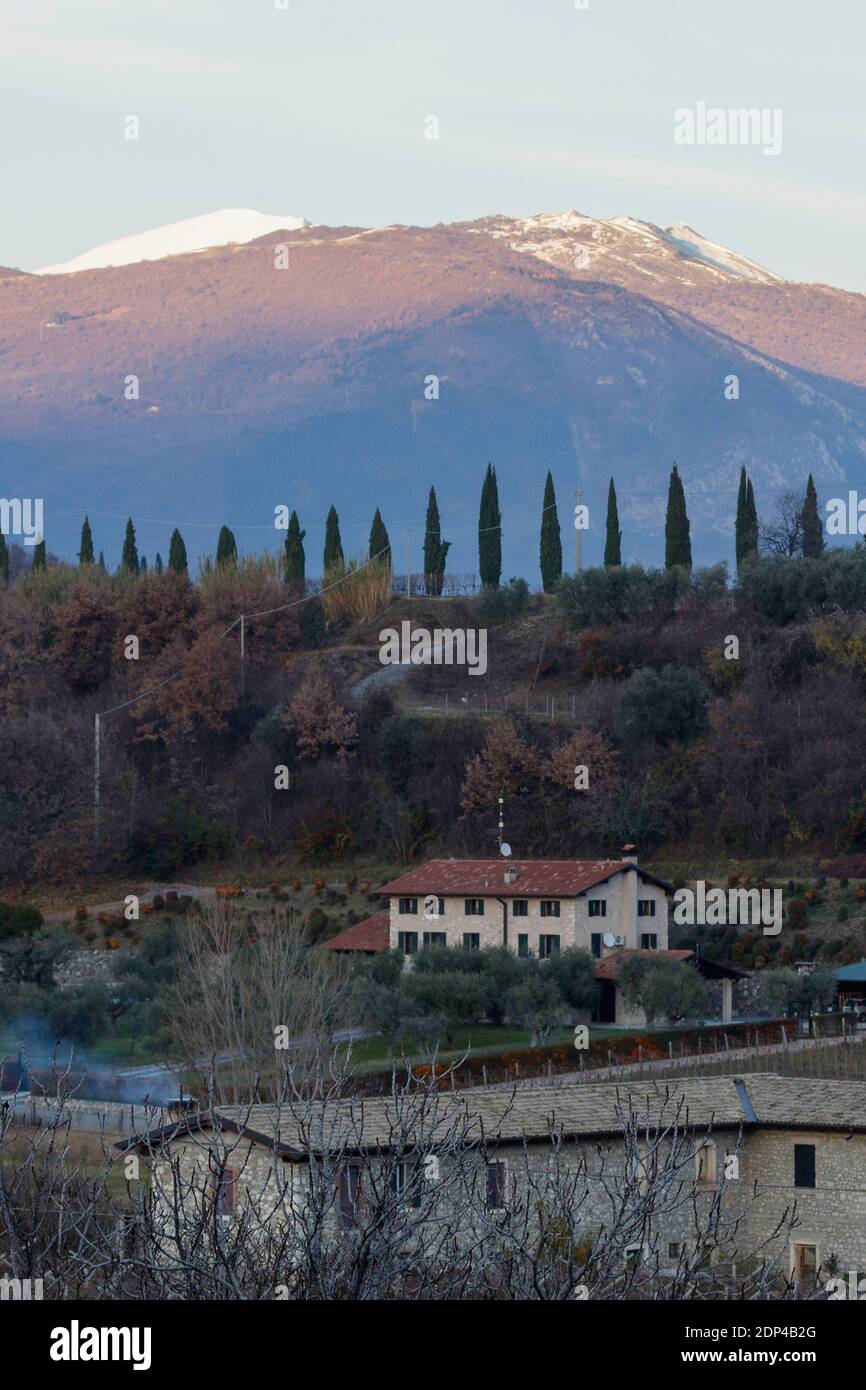 Vue splendide sur le Monte Baldo couvert de neige et le chemin avec cyprès de la Velleselle sur les collines de Bardolino. Banque D'Images