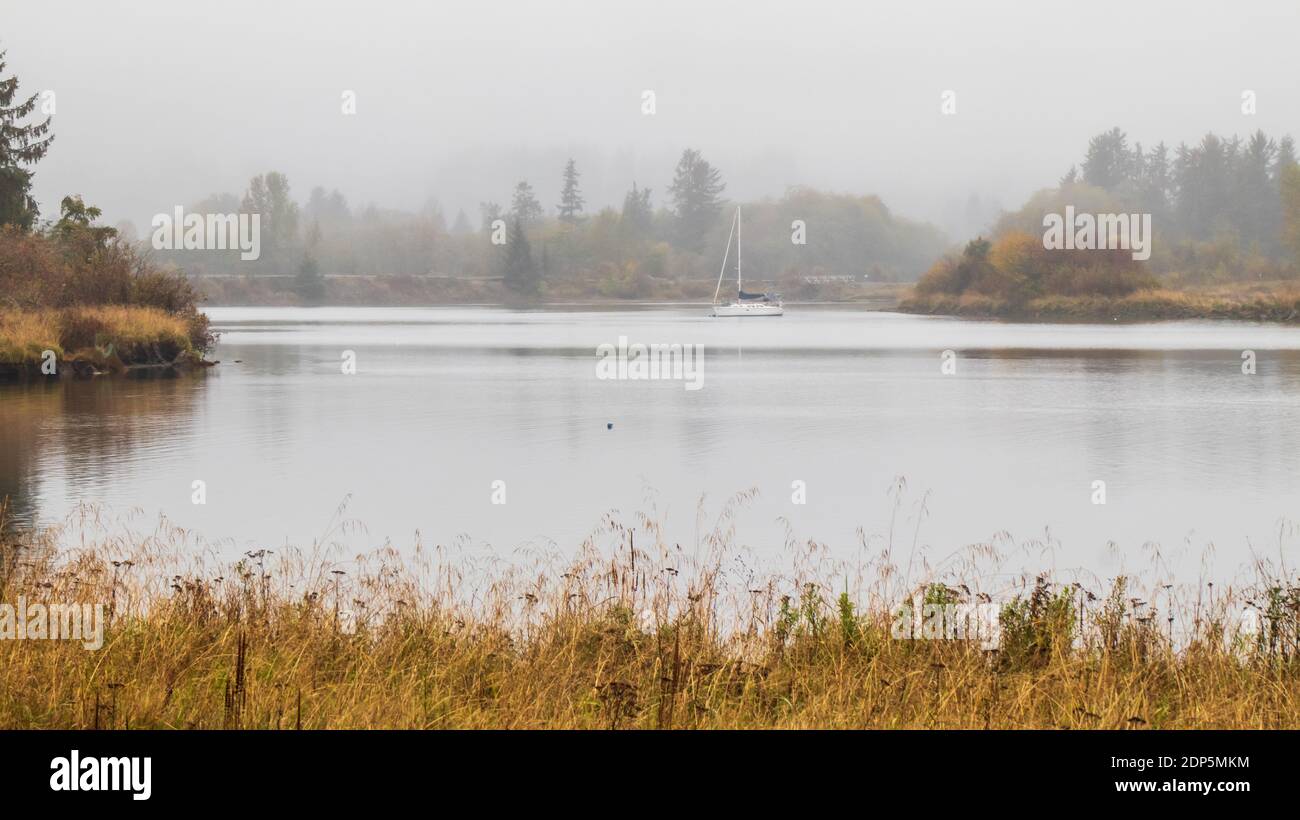 Campbell River, île de Vancouver, C.-B., Canada, estuaire à marée haute avec herbes de plage et couleurs d'automne le jour d'automne brumeux. Banque D'Images