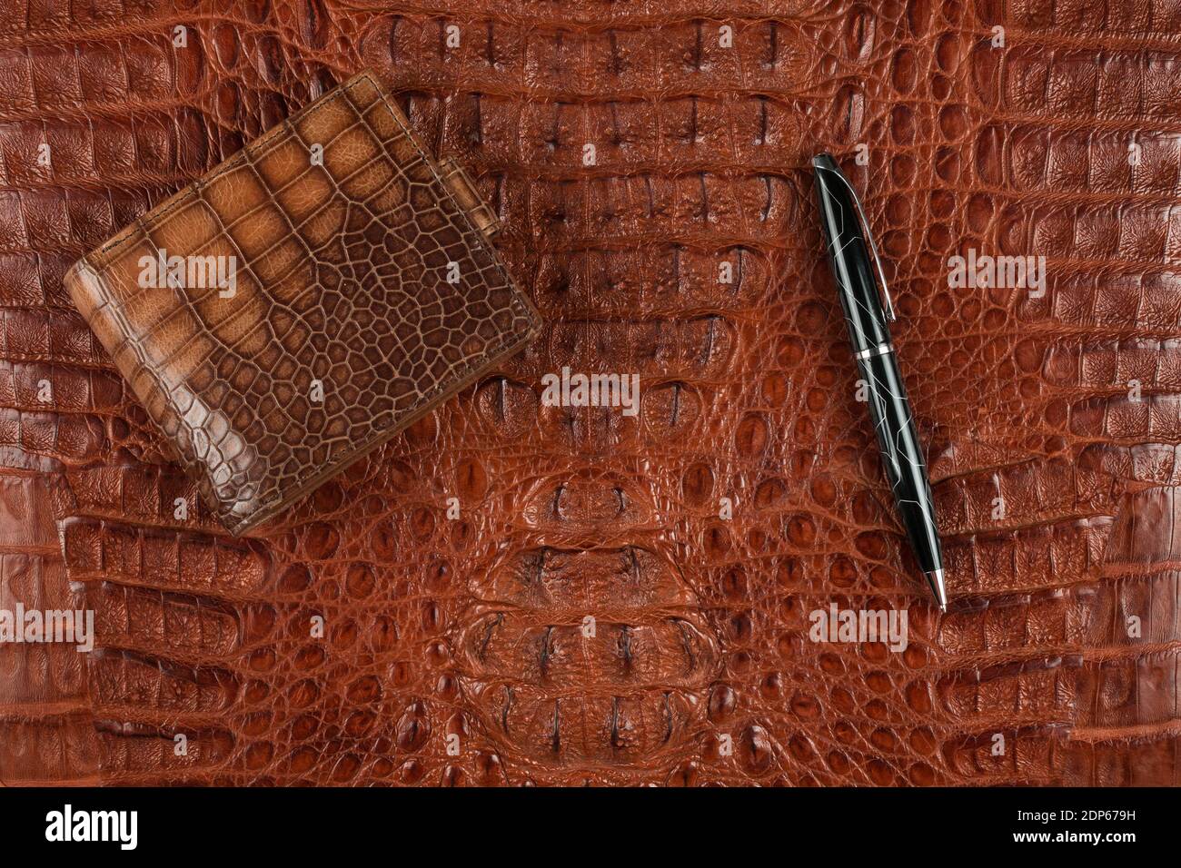 Porte-monnaie et stylo marron pour hommes reposant sur une peau de crocodile. Vue de dessus Banque D'Images