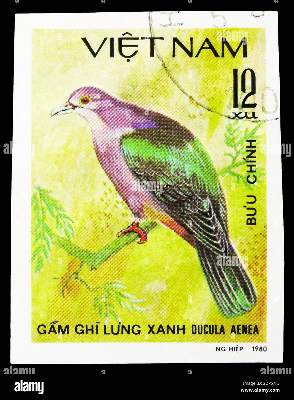 MOSCOU, RUSSIE - 26 SEPTEMBRE 2018 : un timbre imprimé au Vietnam montre le pigeon impérial vert (Ducula aenea), série Doves, vers 1981 Banque D'Images