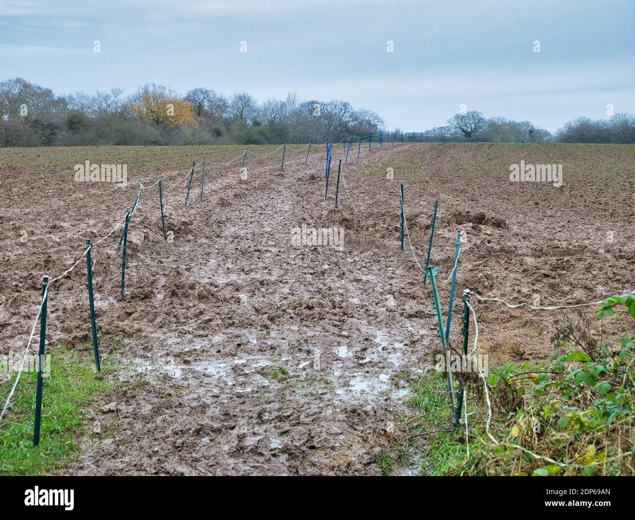 Des poteaux en plastique et du ruban marquent la route de la piste de grès sur un terrain rural très boueux et recouvert d'eau à Cheshire, en Angleterre, au Royaume-Uni - Tak Banque D'Images