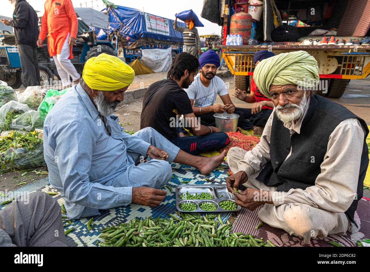 les agriculteurs coupent des légumes sur le site de protestation, ils protestent contre le gouvernement de l'inde. Banque D'Images