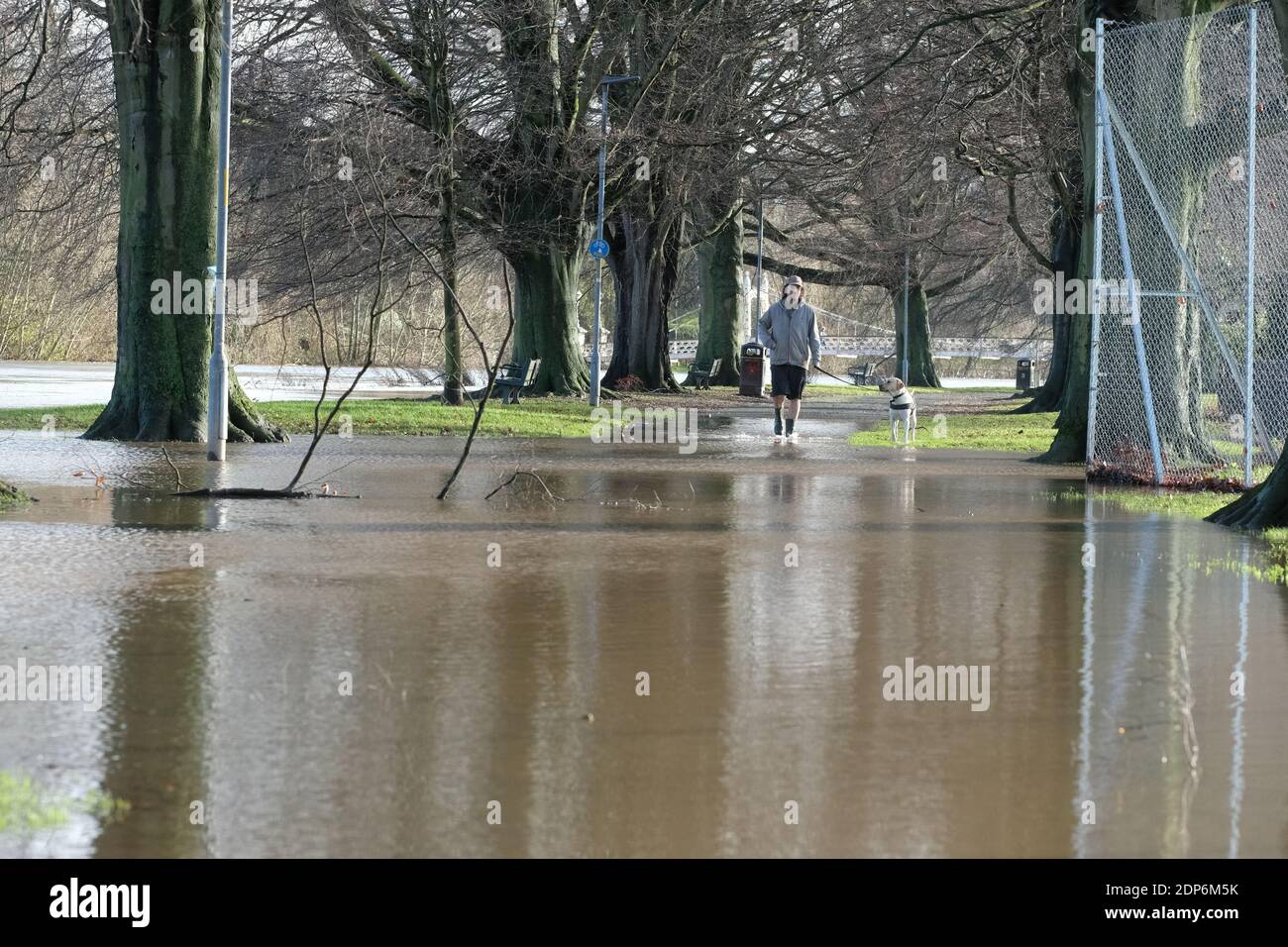 Hereford, Herefordshire - Samedi 19 décembre 2020 - UN homme marche son chien le long des chemins inondés au bord de la rivière à Hereford - la rivière Wye est très haute après plusieurs jours de fortes pluies et devrait culminer à 4,8 m plus tard aujourd'hui. Photo Steven May / Alamy Live News Banque D'Images