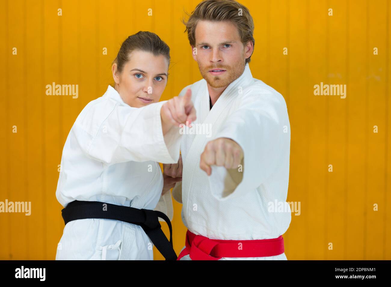 les deux judokas combattants posant Banque D'Images