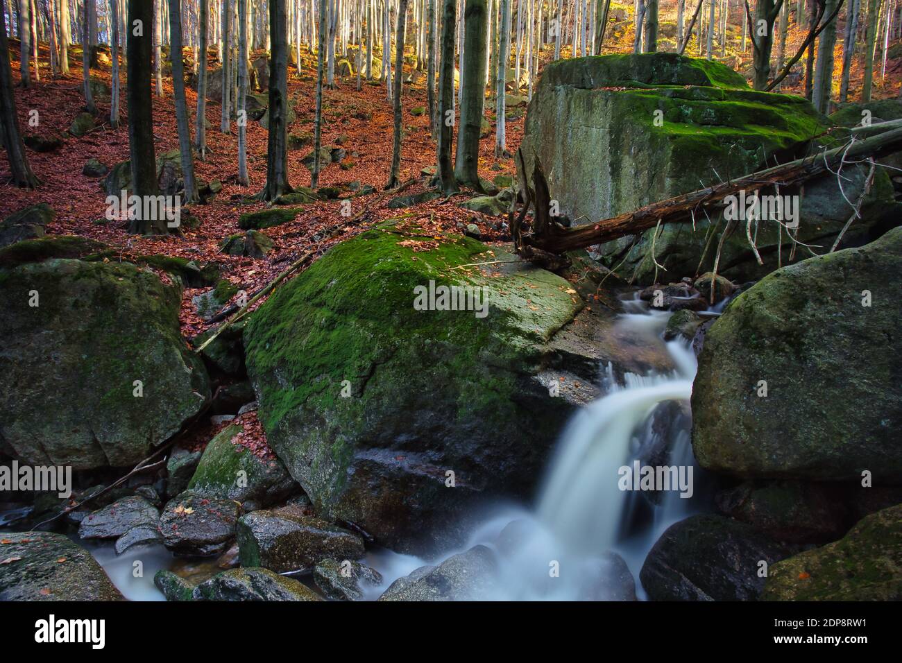 L'automne d'une exposition longue de creek et Noir (Big) Stolpich cascades dans les montagnes Jizera. L'eau tombe dans un profond canyon de la forêt pleine de pierres de granit Banque D'Images