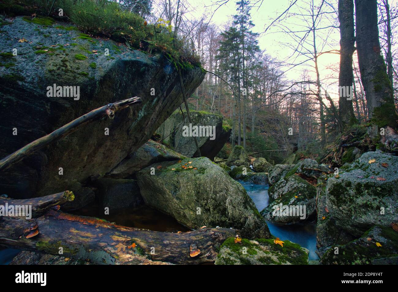 Forêt profonde dans Stolpich Black Creek Valley en couleurs d'automne. Région de Liberec, République tchèque. Banque D'Images