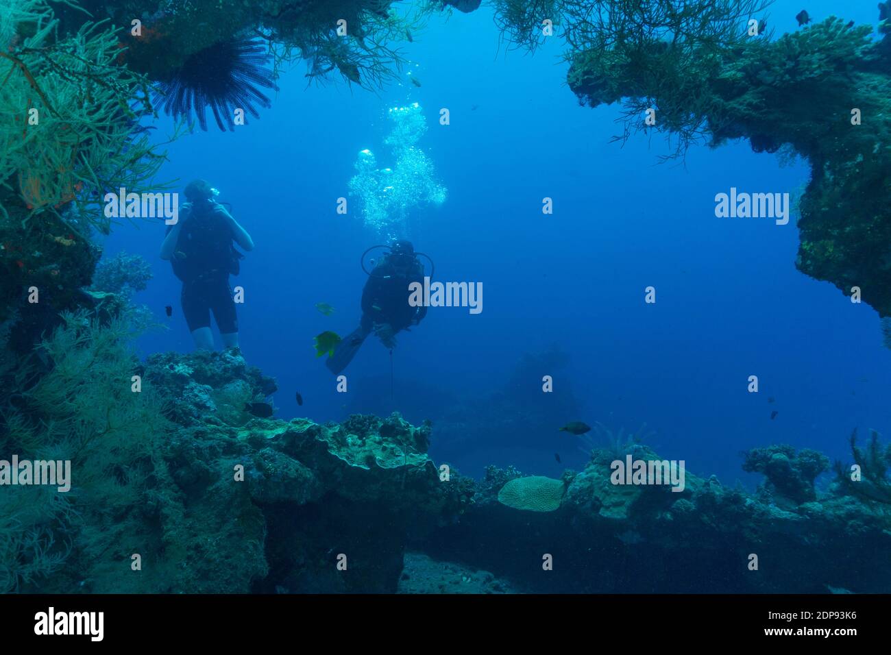 Plongeurs explorant la épave de la liberté américaine à Bali Banque D'Images
