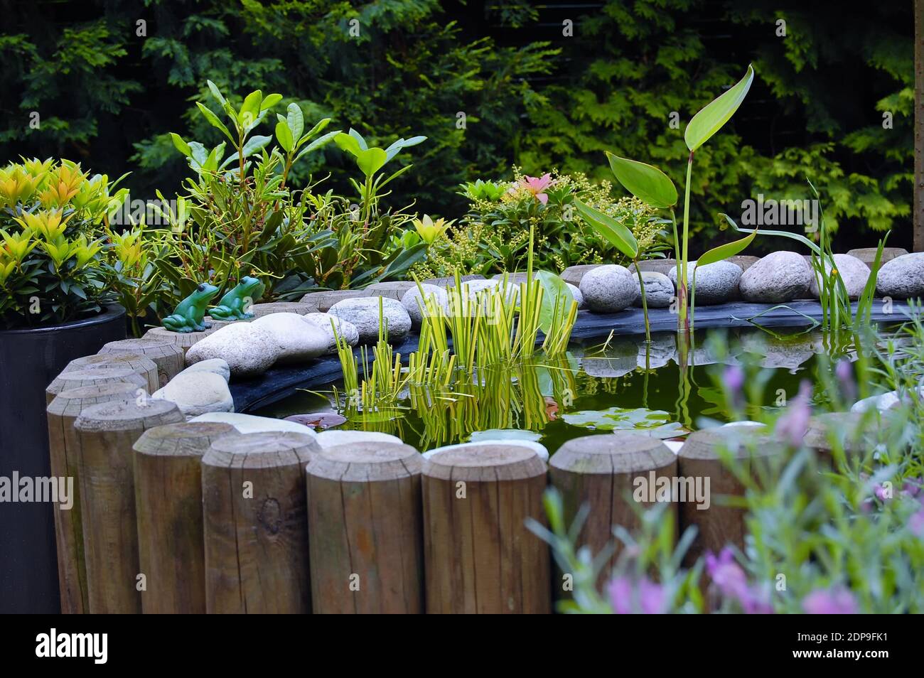 Étang de jardin avec bordures en bois et fleurs et herbes en fleurs. Banque D'Images