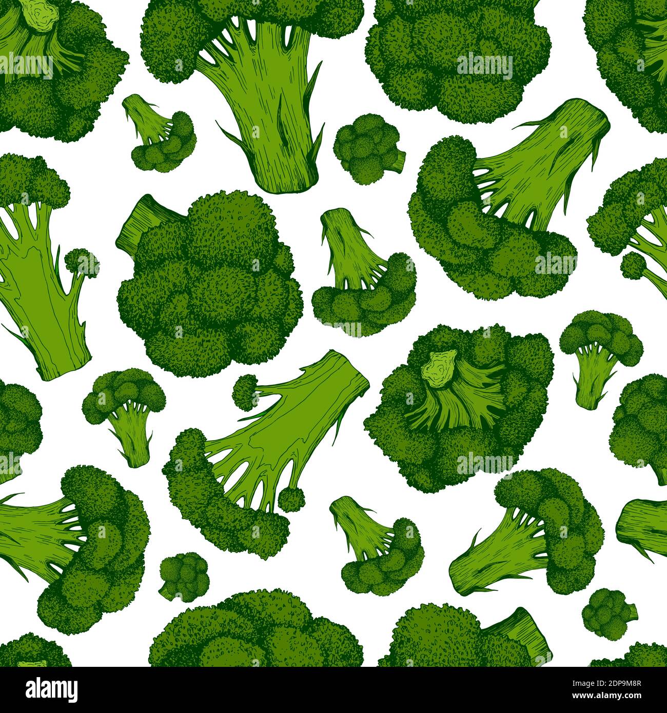 Brocoli vert juteux frais coloré légumes frais sans couture motif, isolé sur blanc. Illustration de Vecteur
