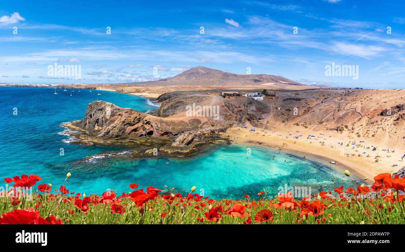 Paysage avec plage de Papagayo, Lanzarote, îles Canaries, Espagne Banque D'Images