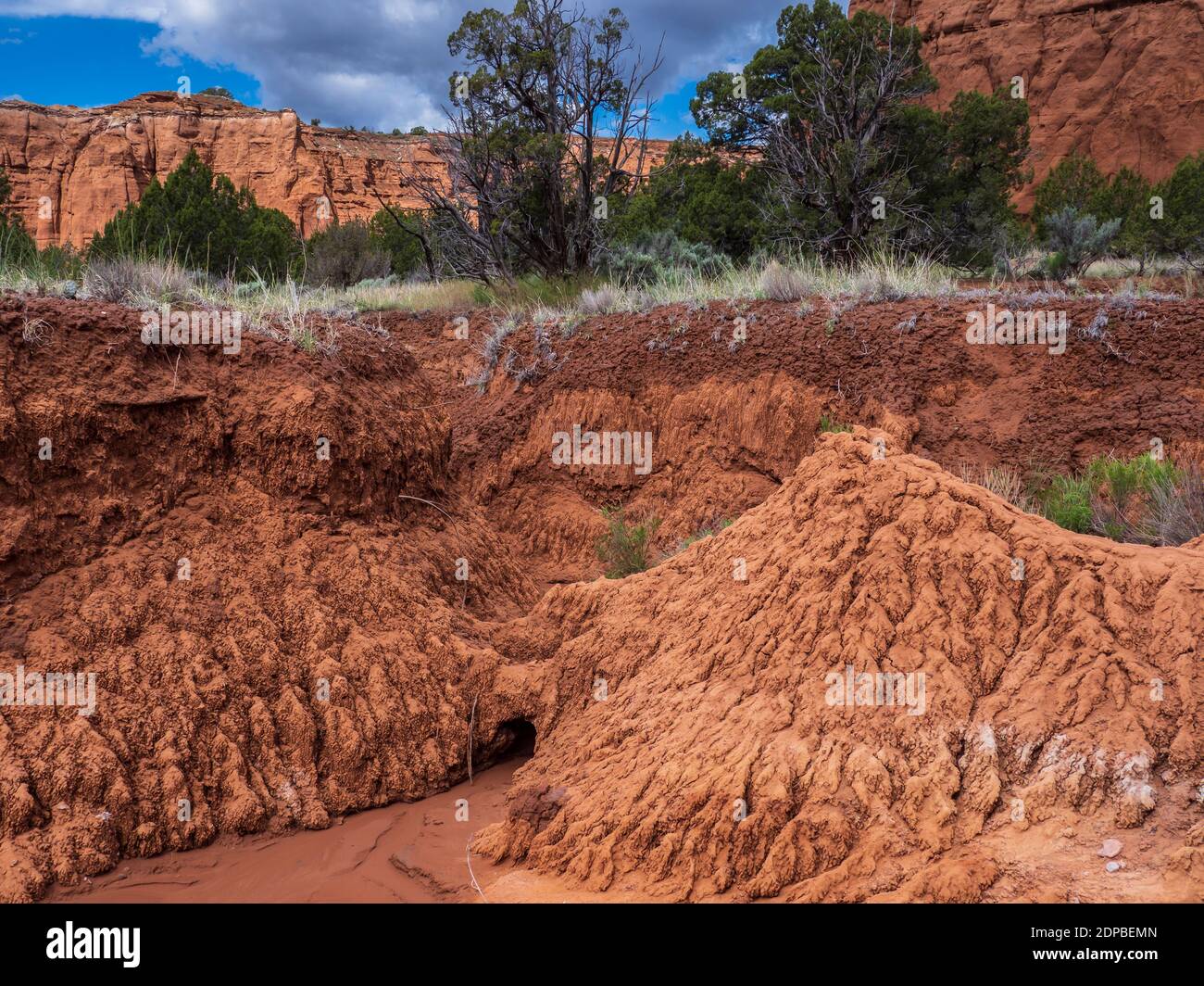 Monticules de boue dans un lit de ruisseau, Grand Parade Trail, Kodachrome Basin State Park, Cannonville, Utah. Banque D'Images