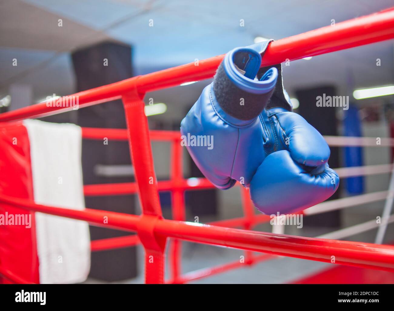 Paire de gants de boxe bleus accroché à l'anneau Banque D'Images